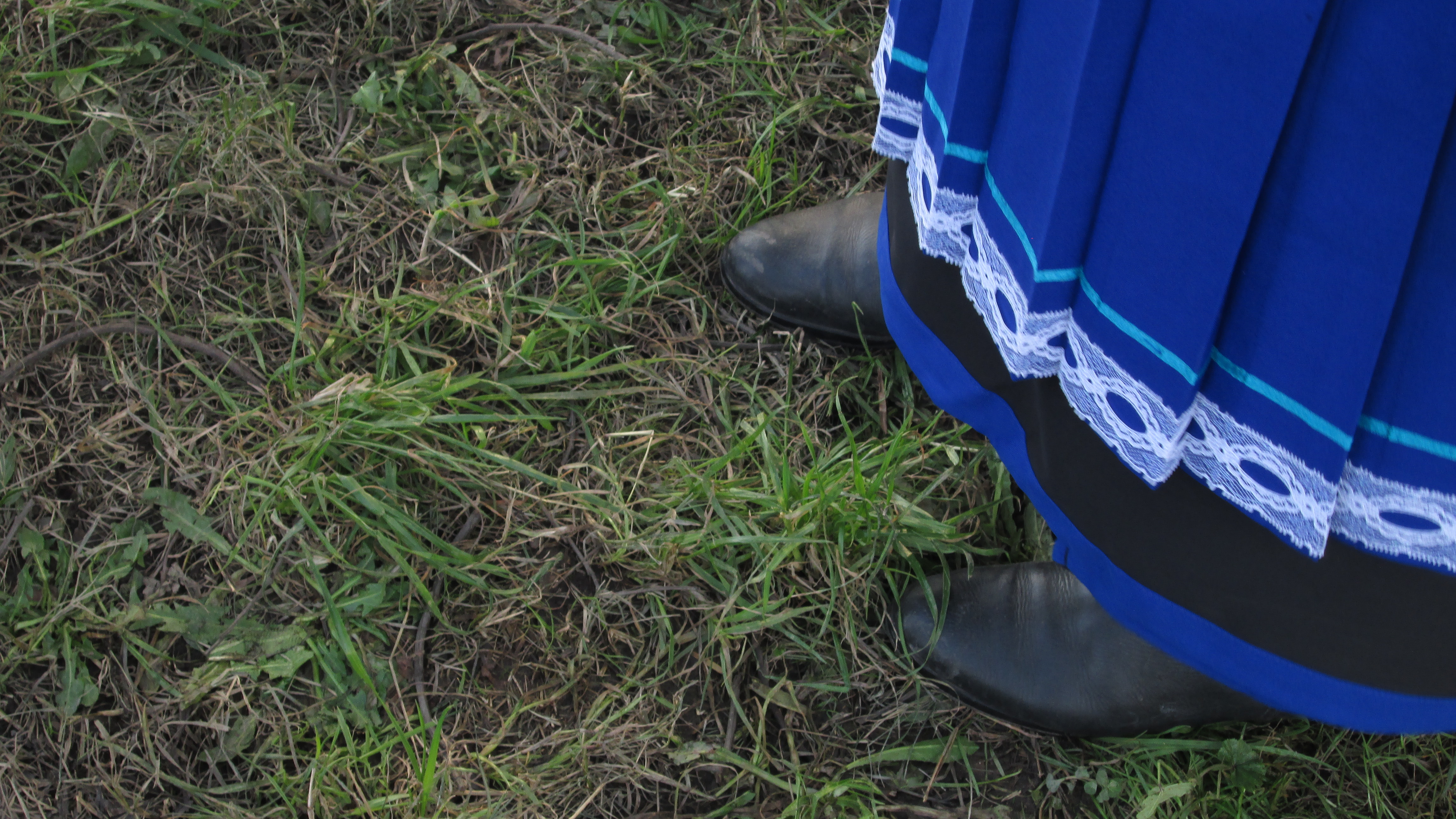 Identidad mapuche
